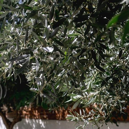 Villa Kala Loutraki - Private Pool & Sauna I Beach Εξωτερικό φωτογραφία